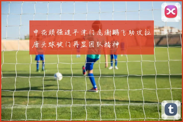 申花顽强追平津门虎谢鹏飞助攻拉唐头球破门再显团队精神