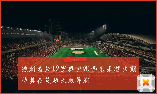 热刺看好19岁奥卢塞西未来潜力期待其在英超大放异彩
