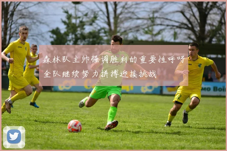 森林队主帅强调胜利的重要性呼吁全队继续努力拼搏迎接挑战